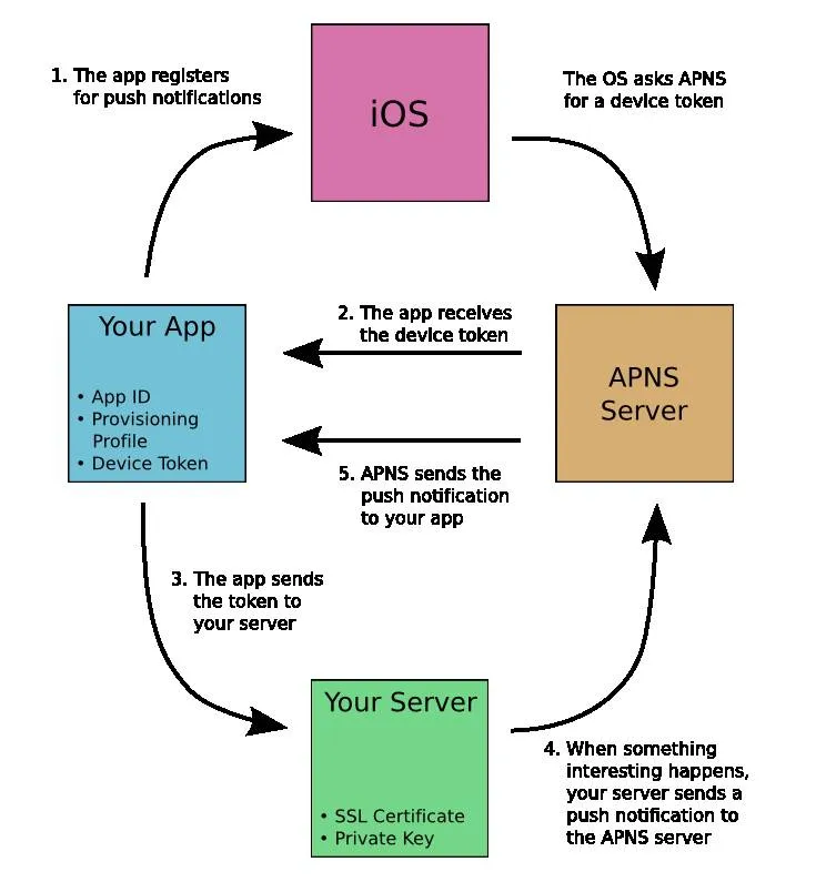 Apple's APNS Service